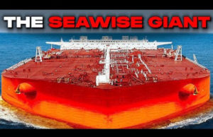 “Seawise Giant”: the ship of records