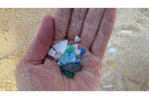 New Environmental Risk Identified
