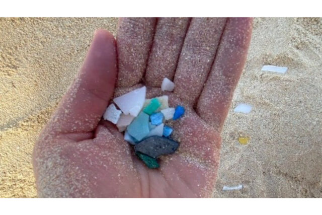 177969511599515plast-i-hand-foto-francesca-verones-ntnu-768x1024.3fa5da
