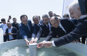 Sturgeon Juveniles Released into the Caspian Sea