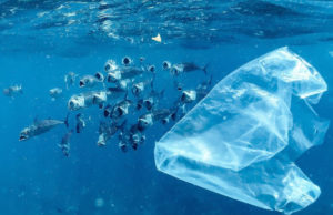The Oceans Define the Future