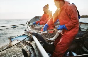 New Legal Framework Created for Persons Engaged in Fishing