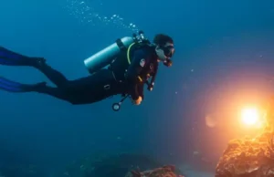 The Unsung Heroes of the Sea – VIDEO