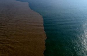 Mysterious change on the shores of Zira in the Caspian Sea — VIDEO