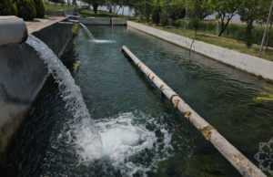 Fisheries in Nakhchivan are being modernized – PHOTO