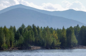 Woman swept away by floodwaters found alive after eight days
