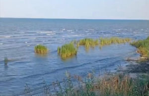 Drop in the level of the Caspian Sea