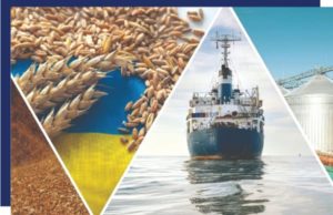 Experts reveal the causes of global food shortages