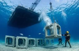 The Miracle Created by 60 Concrete Structures on the Seabed!