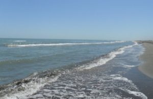 A regional action plan regarding the Caspian Sea may be developed