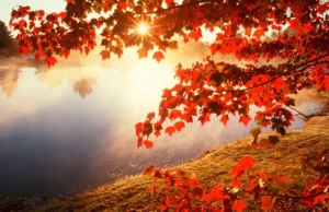 Official Beginning of Autumn in Azerbaijan