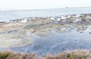 Ecological challenge