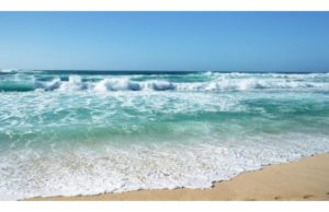 Professor: Climate change poses a serious risk to seafood-related food security