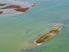 President of Turkmenistan supported holding the meeting of the commission on the shallowing of the Caspian Sea in Azerbaijan