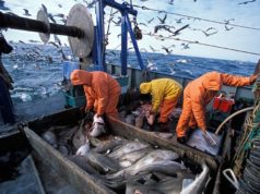 Legislative Amendments Introduce New Environmental Standards in Aquaculture and Agriculture