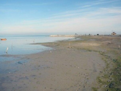 Shallowization of the Caspian Sea to be discussed at the summit