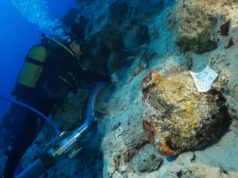 4,700-Year-Old Amphorae Discovered Near Kekova Island in Turkey