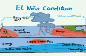 The Pacific Ocean warmed to record levels under the influence of El Niño