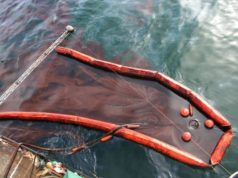 Oil Spill Cleanup Underway in Sakhalin